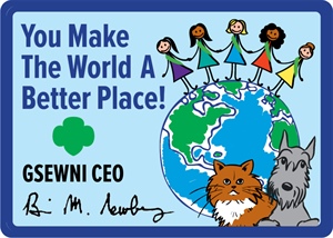 Photo-Over Patches: A Game-Changer for Detailed Patches